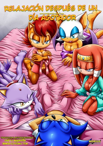 [Palcomix]Relaxation After a Tiring Day (spanish) [TheKingYoshi] cover
