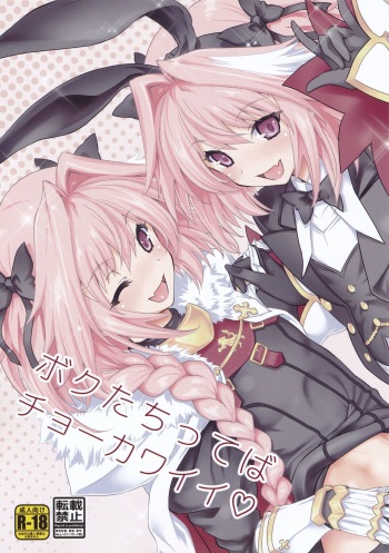 (C97) [Uguisuya (Uguisu Kagura)] Boku-tachi tteba Chou Kawaii (Fate/Grand Order) cover