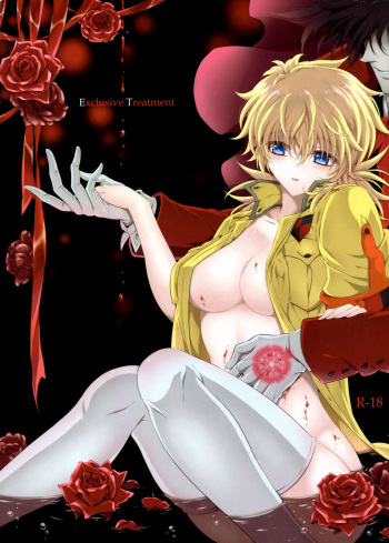 (C94) [S.clock+ (Kurobe Tomo)] Exclusive Treatment (Hellsing) cover
