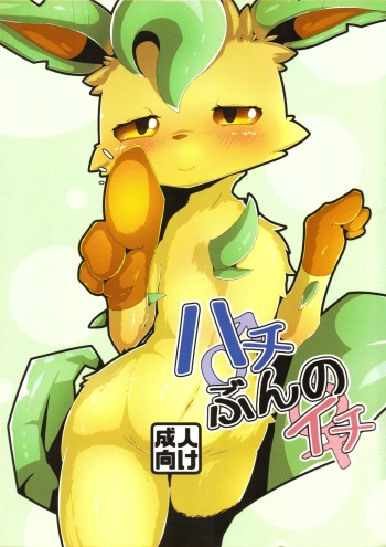 (Kemoket 7) [Fu ~-ra ~iryuu (Minamijūji)] Hachi bun no ichi (Pokémon) cover