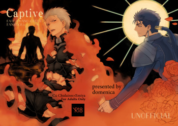 [domenica (Ooemaki)] Captive (Fate/Grand Order) [Digital] cover