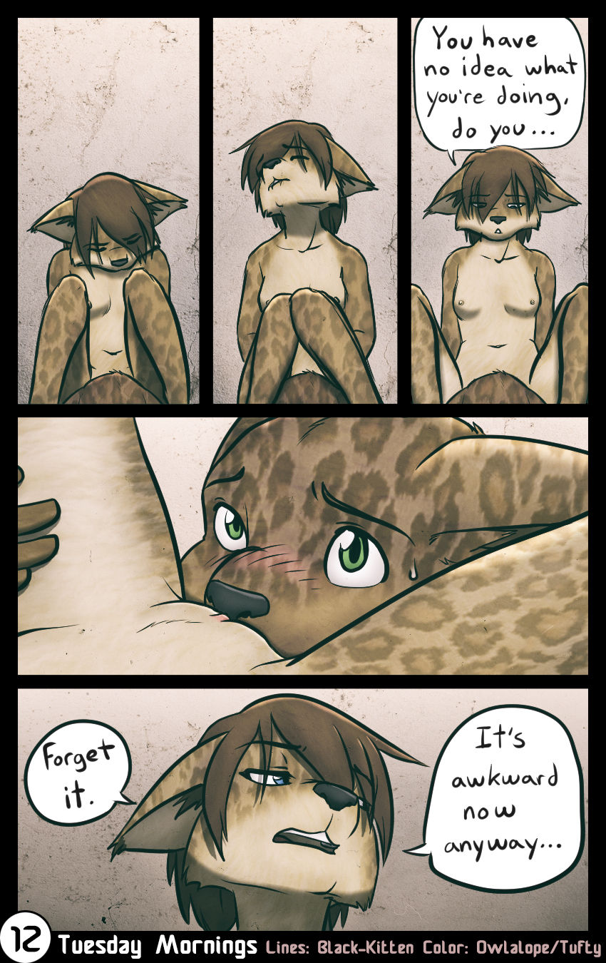 Tuesday Mornings page 12 full