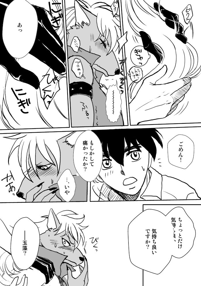 Ookami, Hiroimashita page 11 full