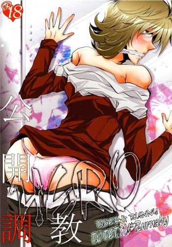 [Doppelganger Mayoineko (Kiriya Himi)] Koukai Choukyou HERO (TIGER & BUNNY) cover