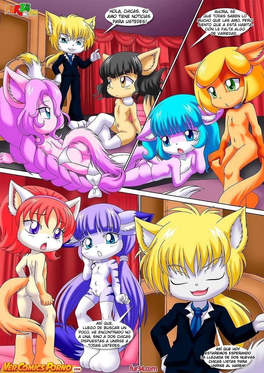 Bienvenida Al Harem De Benedicto page 2 full
