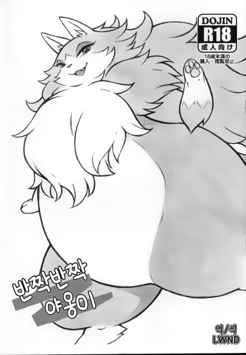 (Kemoket 7) [Mayoineko (Nakagami Takashi, Diru, Nezumin)] Kirakira Nyanko (Monster Hunter Stories) [Korean] [LWND] cover