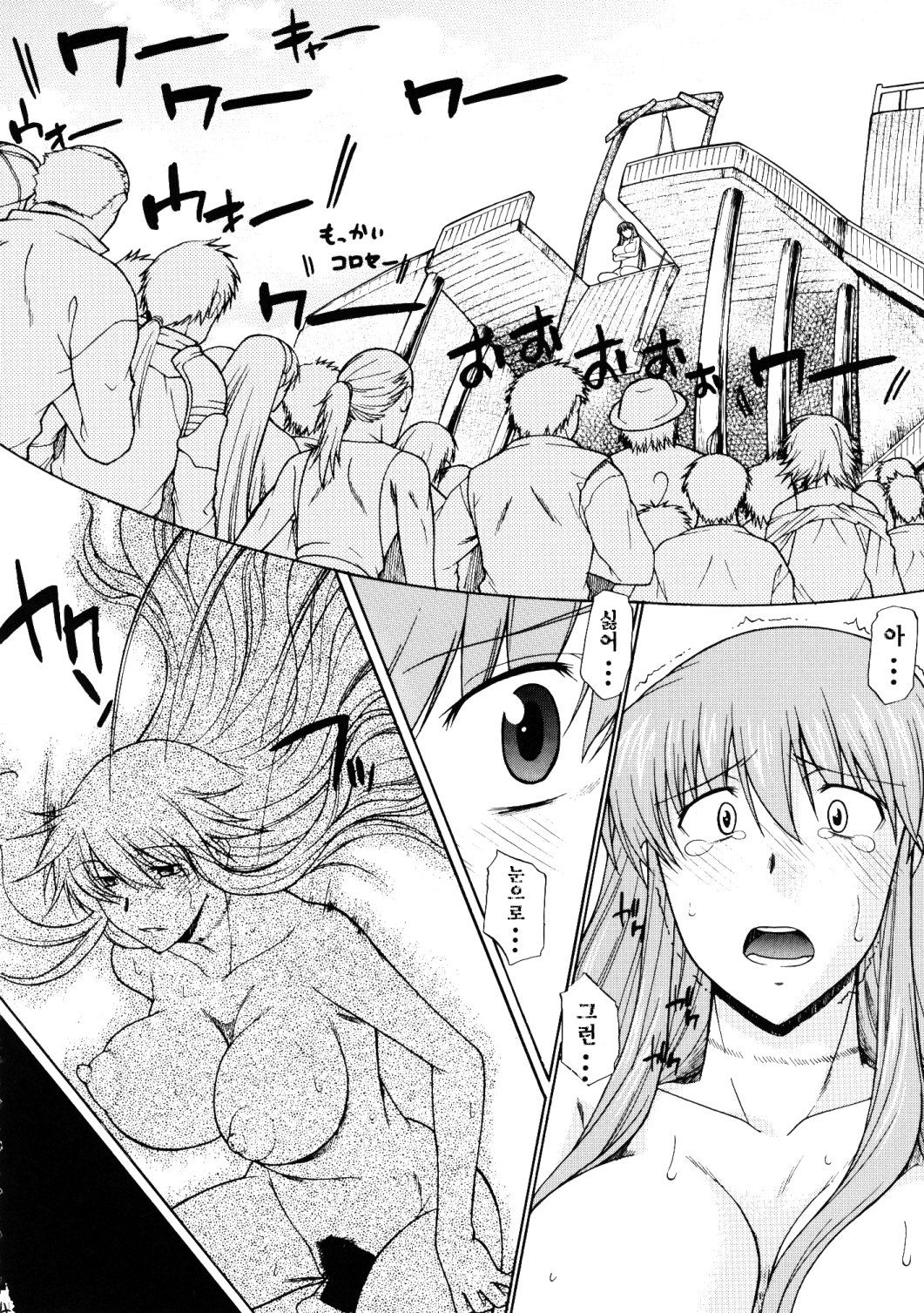 Hooliganism 15 - Record of ALDELAYD Act.10 Exhibition DX7 page 11 full