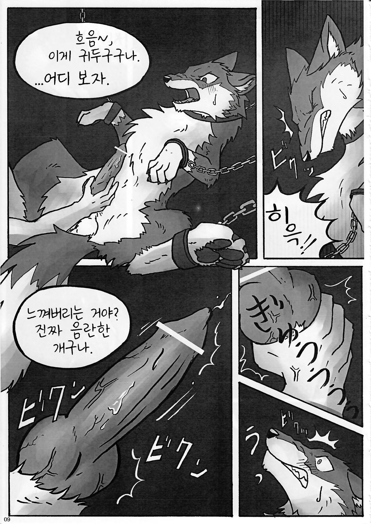KTQ 13 page 11 full
