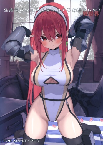 (C96) [Illumination. (Ogadenmon)] Namaiki na Shota ni wa Ecchi na Onee-san o! Isekai [English] [SDTLs] cover