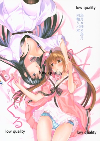 (Girls Love Festival 27) [Suraimu no Youna Nanika (Sentaku Nori)] Guruguru (Akai Ito) cover