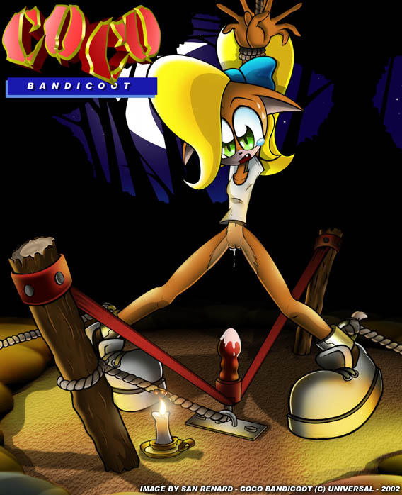 Coco Bandicoot page 11 full