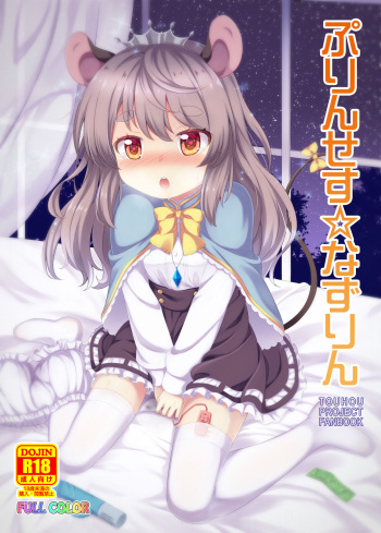[TMTKdou (Tomo Takino)] Princess Nazrin (Touhou Project) [Digital] cover