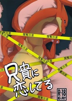 Aniki ni Koishiteru | 형을 사랑해