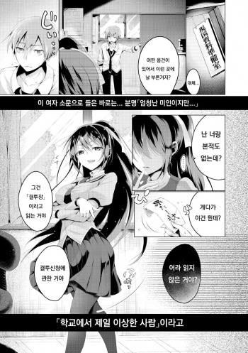 [Suzuki Akoni] Katakoi Irony (Itoshii Hito) [Korean] [Digital] cover