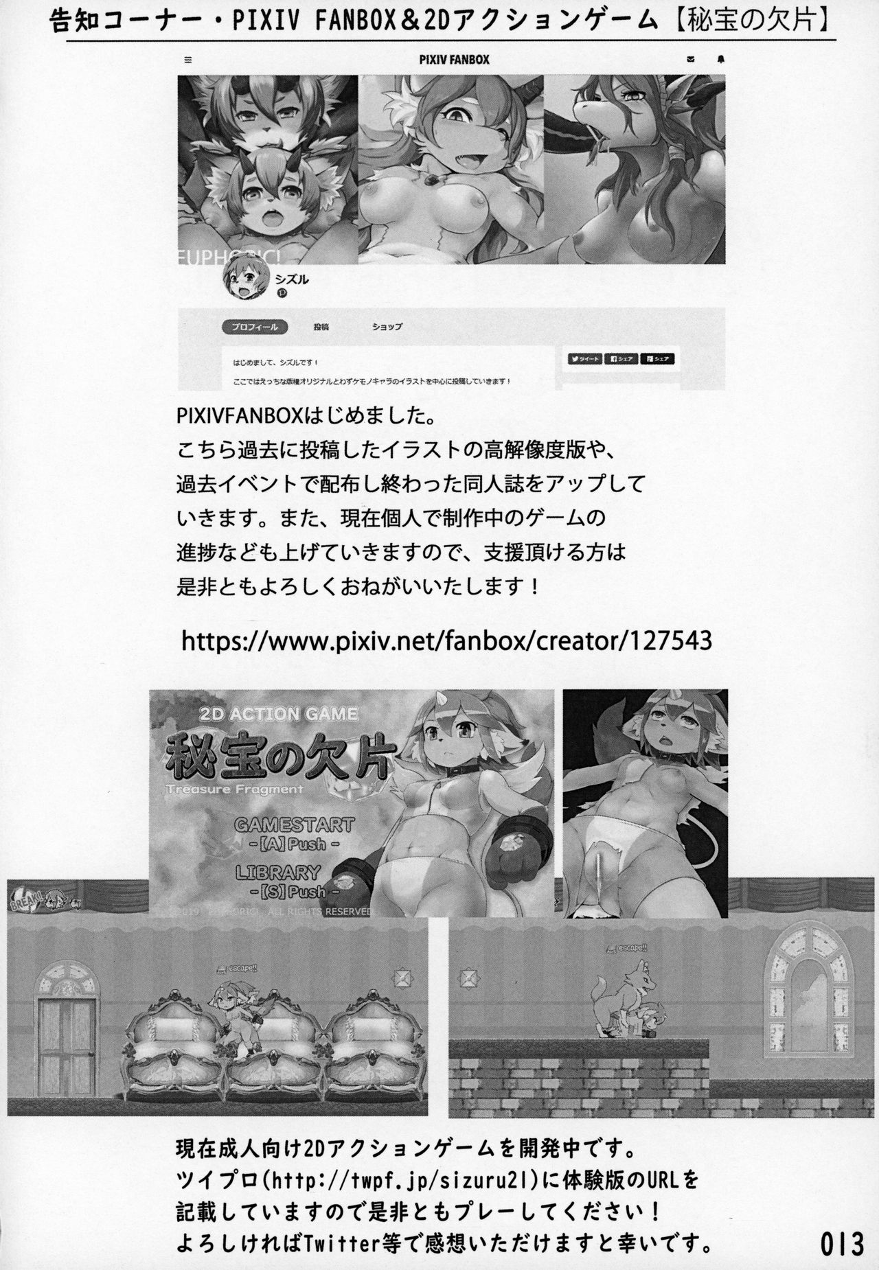 SIZPICO4 page 12 full