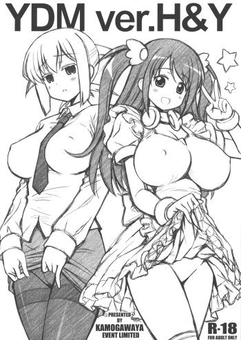(Rinshan Kaihou! 10) [Kamogawaya (Kamogawa Tanuki)] YDM ver.H＆Y (Saki) cover