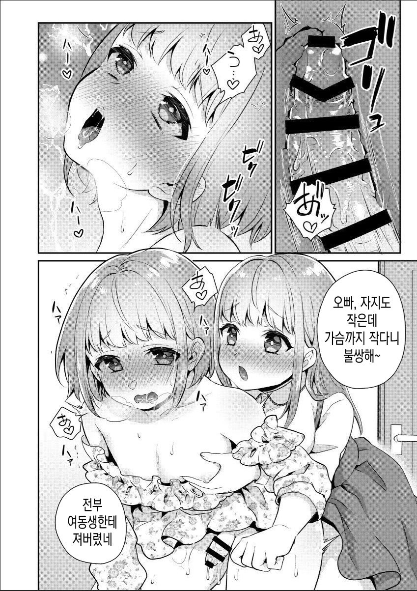 Okkii Imouto Chicchai Ani | 커다란 여동생, 조그마한 오빠 page 11 full