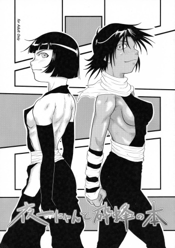 [Great.Dadan (Seijirou Kagechika)] Yoruichi Nyan to Soi Fon no Hon (BLEACH) cover
