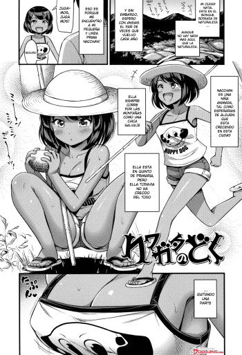 [Noise] Kuwagata no Doku | Stag Beetle (Oppai, Futomomo, Sokoni Short Pants) [Spanish] {MetamorfosiS} cover