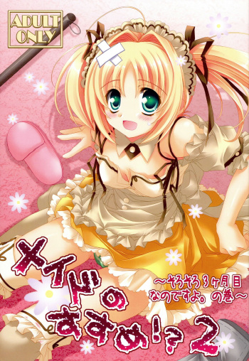 (C79) [Pyonpyororin (Akoko.)] Maid no Susume!? 2 ~Sorosoro 3 kagetsume Nanodesuyo. no Maki~ cover