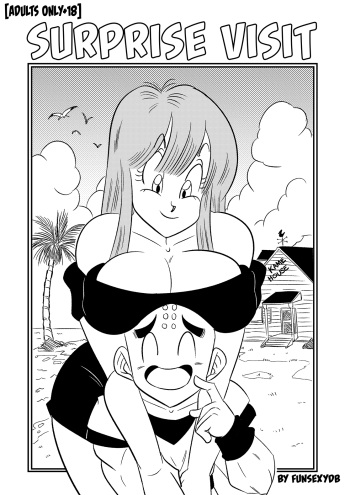[FunsexyDB] Surprise Visit (Dragon Ball Z) cover