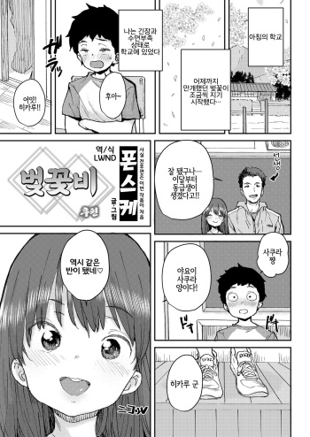 [Ponsuke] Sakura Ame Kouhen | 벚꽃비 후편 (COMIC LO 2020-08) [Korean] [LWND] [Digital] cover