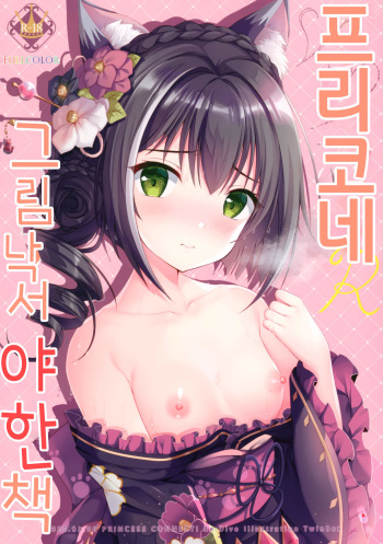 (SC2020 Spring) [TwinBox (Hanahanamaki, Sousouman)] PriConne Rakugaki Ecchi Bon | 프리코네 그림 낙서 야한 책 [Korean] [팀 털난보리] cover