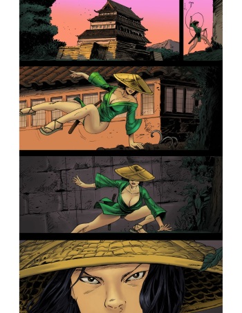 [Nyte] Silk cover
