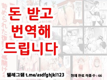 [Onna ni Yoru Onna e no Ryoujoku] Akuma no Dousoukai - Ijimerareta Fukushuu no Makuake 2 [Korean] cover