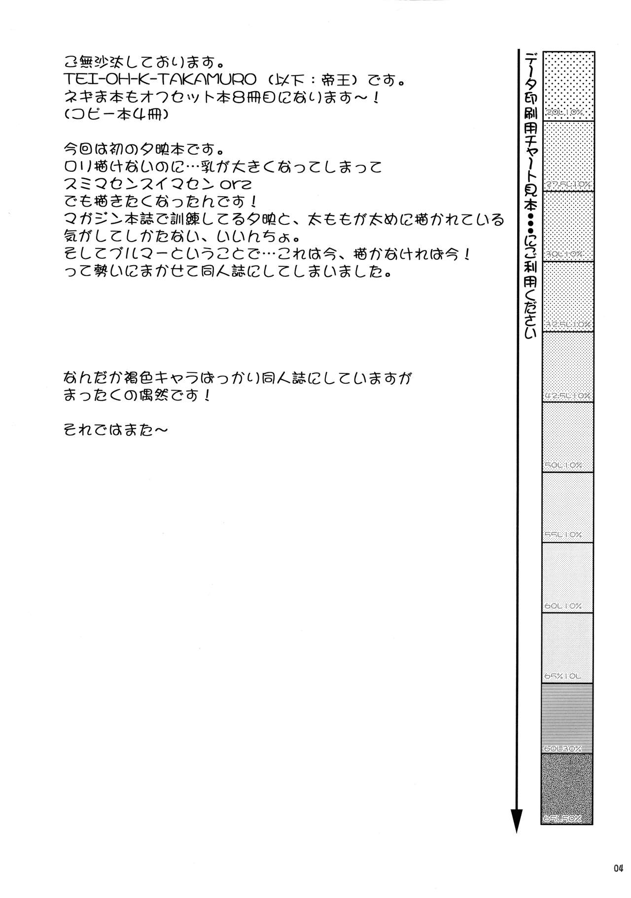 C.C.Bloomer page 4 full