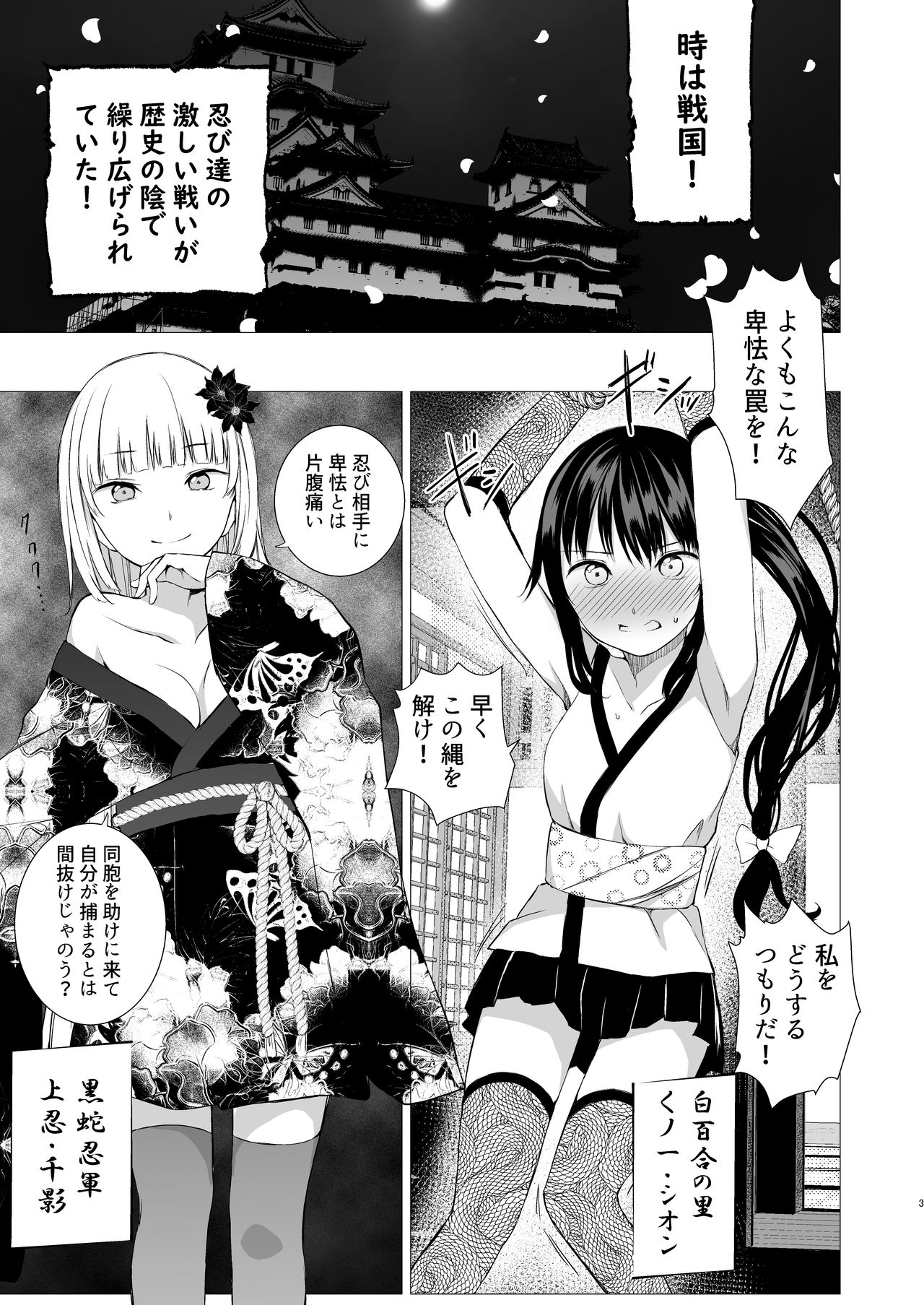 Oshinobi Shoujo no Asobikata page 2 full