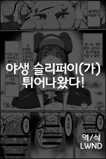 [Washuu] Yasei no Sleeper ga Tobidashi kita! (Pokémon) [Korean] [LWND] cover