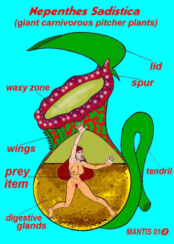 eroticperil Vore and Peril Collection - Comic Porn XXX