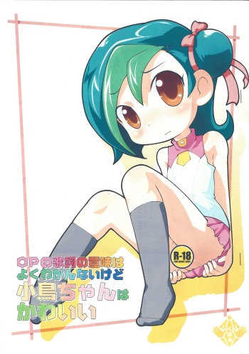 (C80) [PalePink! (Sakurabe Notos)] OP no Kashi no Imi wa yoku Wakannai kedo Kotori-chan wa Kawaii (Yu-Gi-Oh! ZEXAL) cover