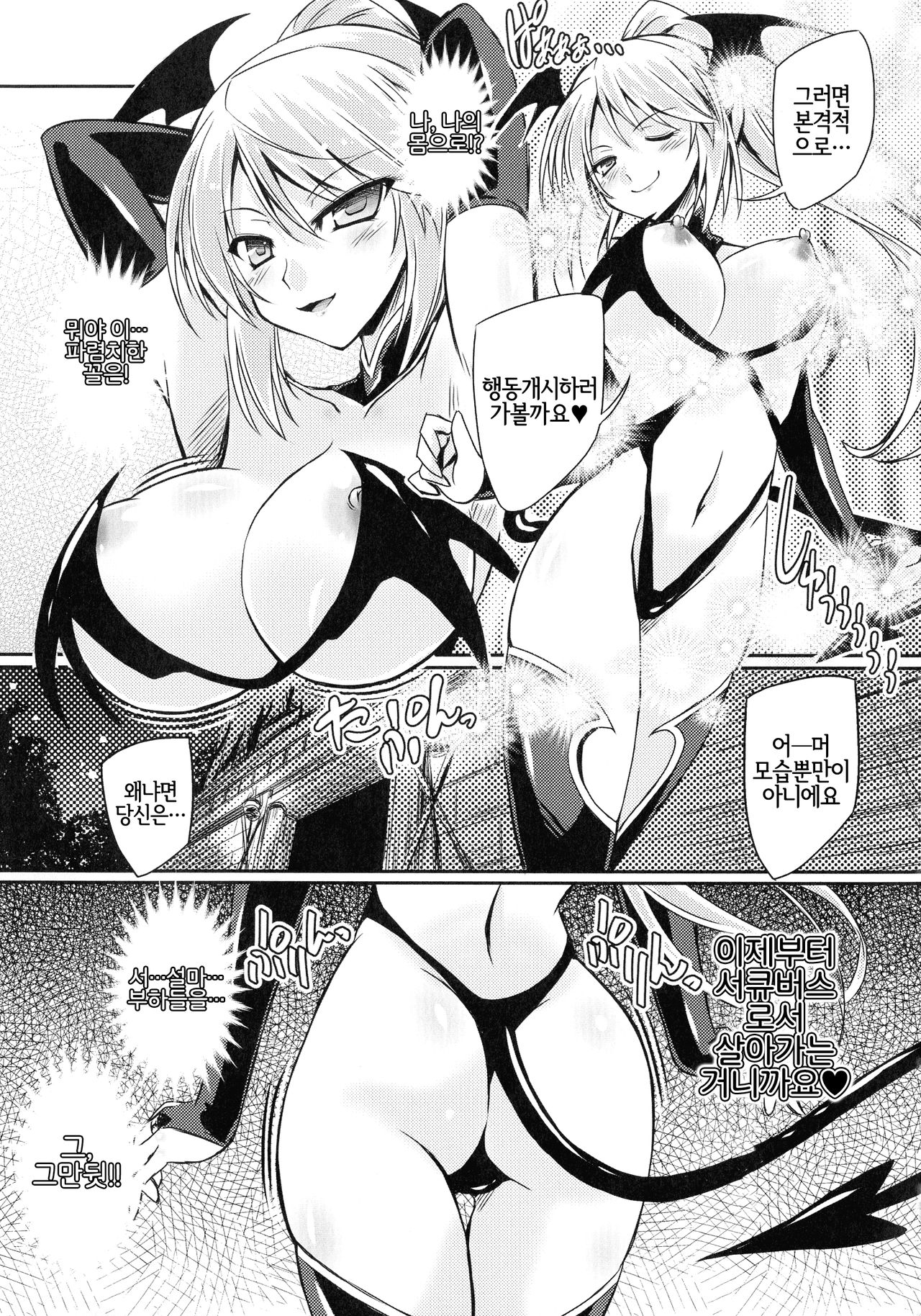 Succubus Install page 11 full