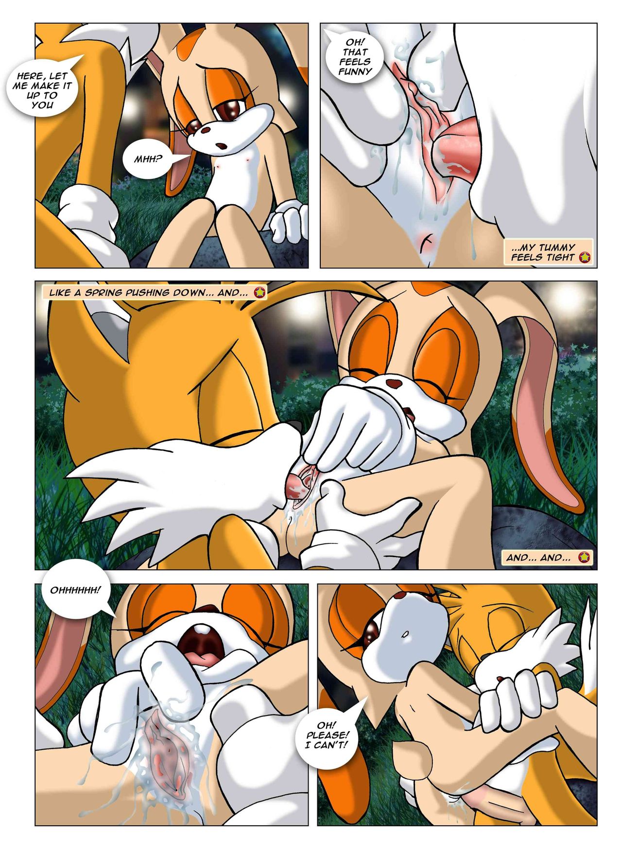 Sonic XXX Project: Collector's Edition page 10 full