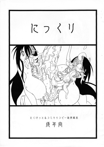 (C73) [Futanaya (Xiarobo)] Nitsukuri cover