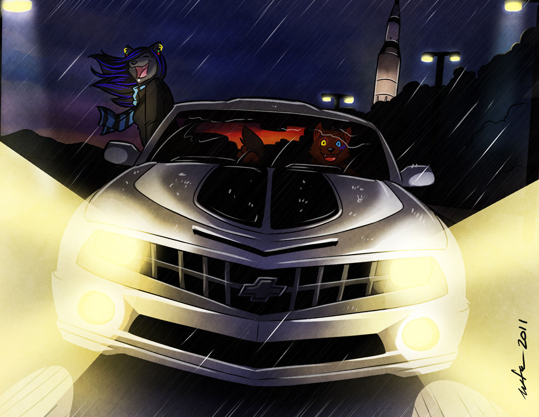 WFA 2011 page 7 full