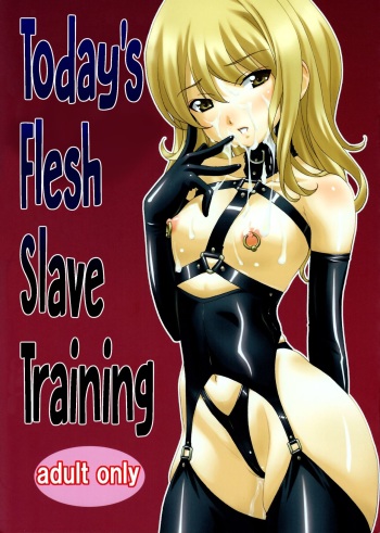 (C88) [Tairikukan Dandoudan Dan (Sakura Romako)] Honjitsu no Nikudorei Choukyou | Today's Flesh Slave Training [French] cover