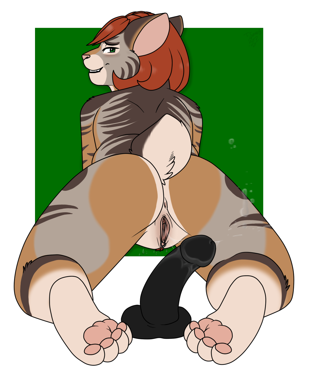 ARTIST os page 12 full
