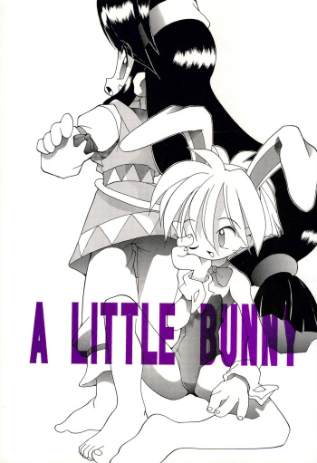 (CC10) [STUDIO HoFu-Na Kaihou Sen2 (Various)] A LITTLE BUNNY (Keio Flying Squadron) cover