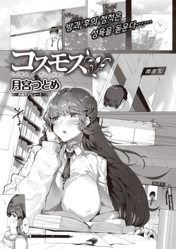 [Tsukimiya Tsutome] Cosmos - Like a Flower (COMIC Shitsurakuten 2020-08) [Korean] [Digital] cover
