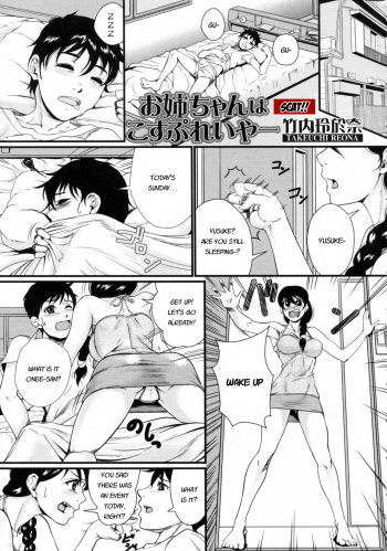 [Takeuchi Reona] Onee-chan wa Cosplayer | Onee-chan is a cosplayer (Nozoite wa Ikenai 2) [English] [Last Resort Translations] cover