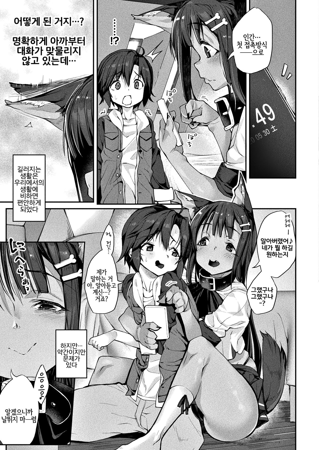 Boku wa Ningen de Pet de, Kitto Kazoku | 나는 인간이자 펫이고, 분명 가족 page 3 full