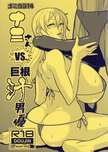 (C96) [ACID-HEAD (Murata.)] Nami Ura 14 Nami-san VS Kyokon Shiru Danyuu (One Piece) cover