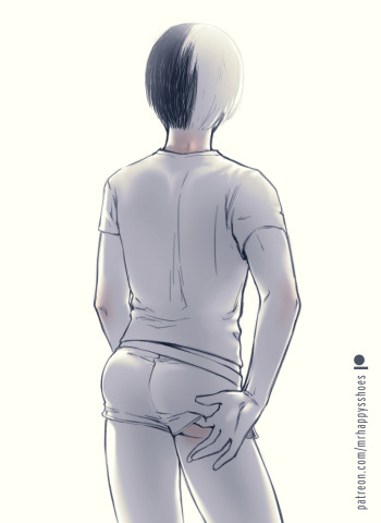 [mrhappysshoes] The Courting of Todoroki Shouto cover