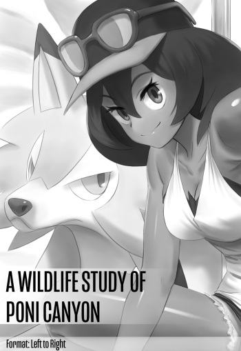 [Jiffic] A Wildlife Study of Poni Canyon (Pokemon) cover