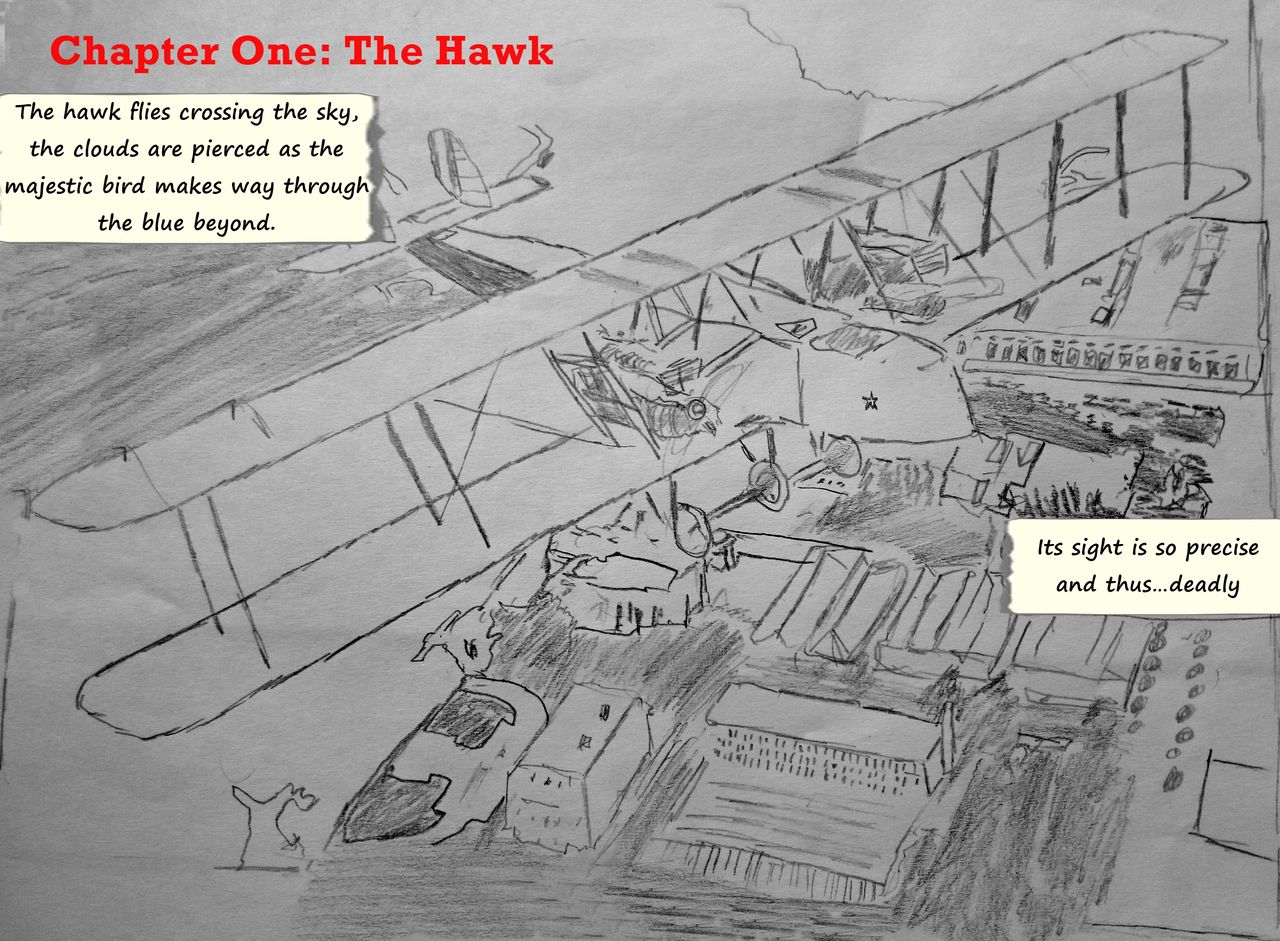 The Schwan Proyect Chapter 1: The Hawk page 2 full