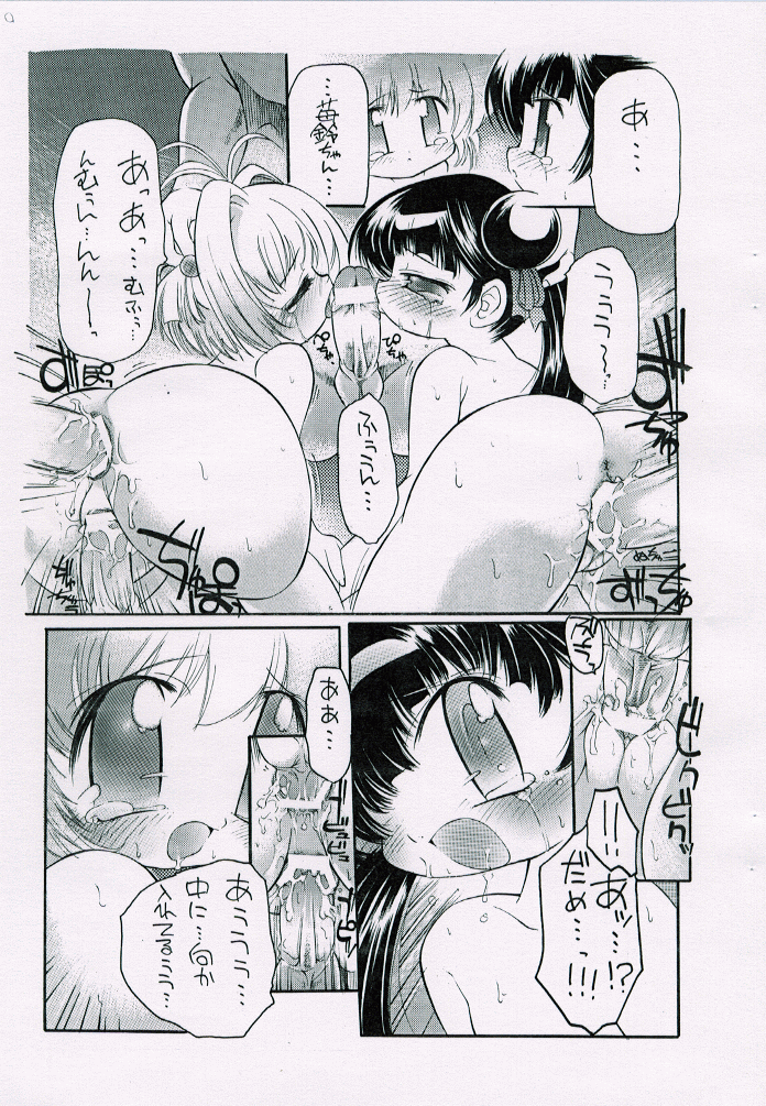 bird cage page 12 full