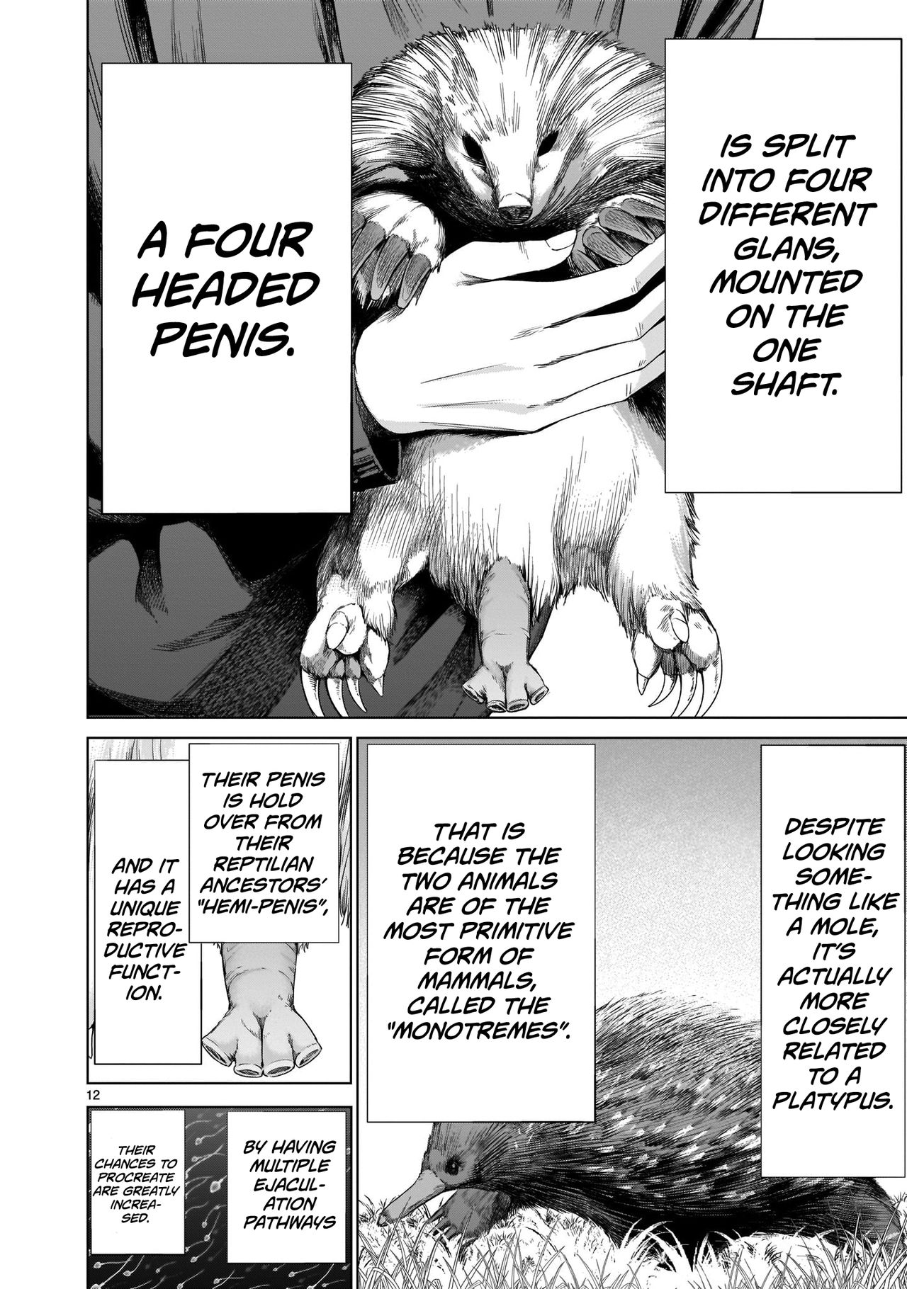 Isn't It Too Much? Inaba-san/Hoshi Gari Sugidesho? Inaba-san chapter 2 page 11 full